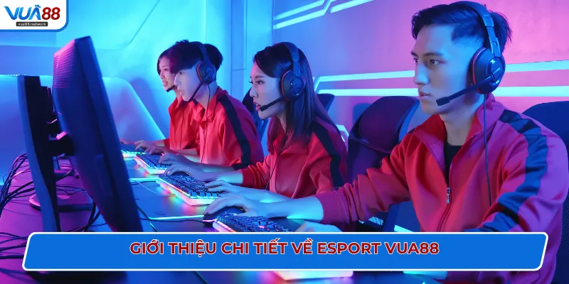 Giới thiệu chi tiết về Esport VUA88