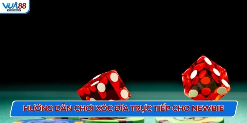 Hướng dẫn chơi xóc đĩa trực tiếp cho newbie